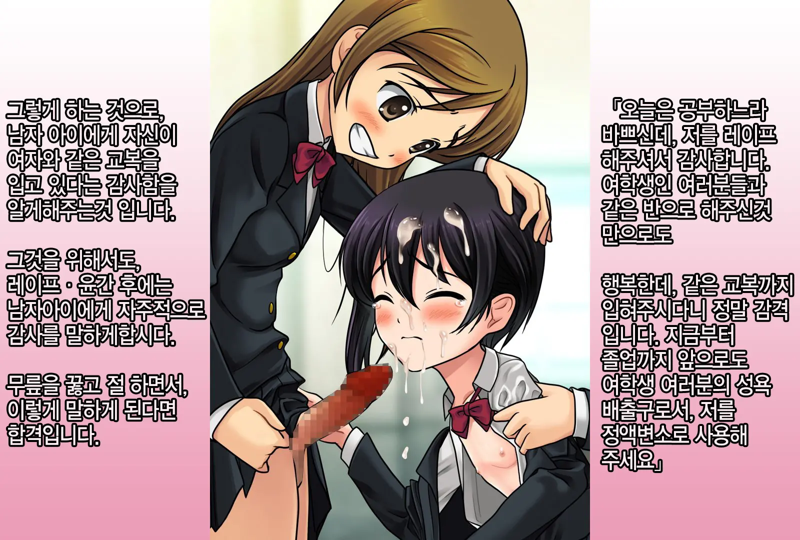 Joken Jidai Ni Okeru Shinjin Kyoushi No Tame No Gakunenbetsu Shidou Youkou